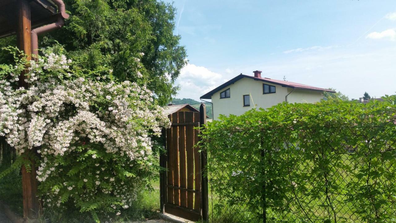 Swinna - Brzozowy Zagajnik Exteriör bild