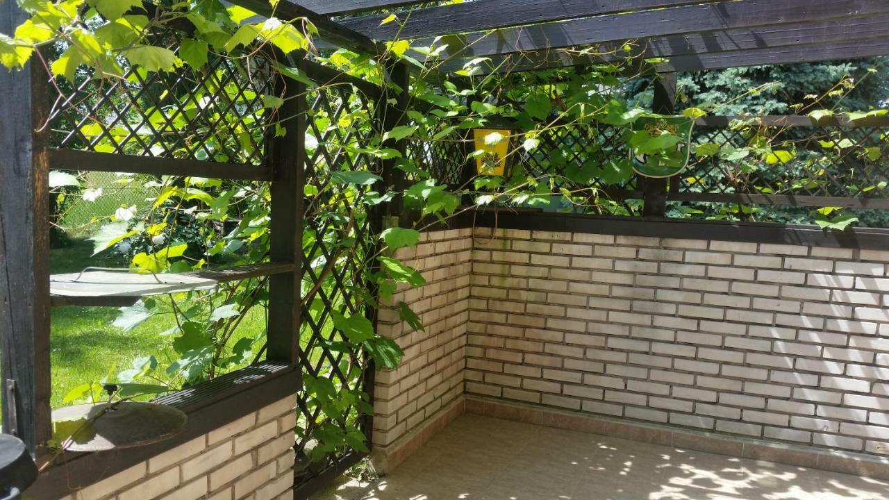 Swinna - Brzozowy Zagajnik Exteriör bild